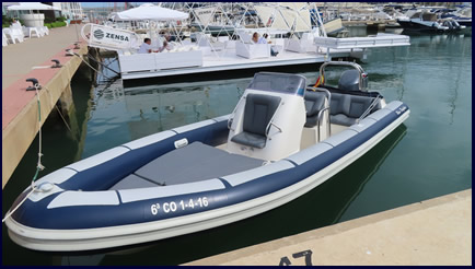 Blue Dolphin RIB